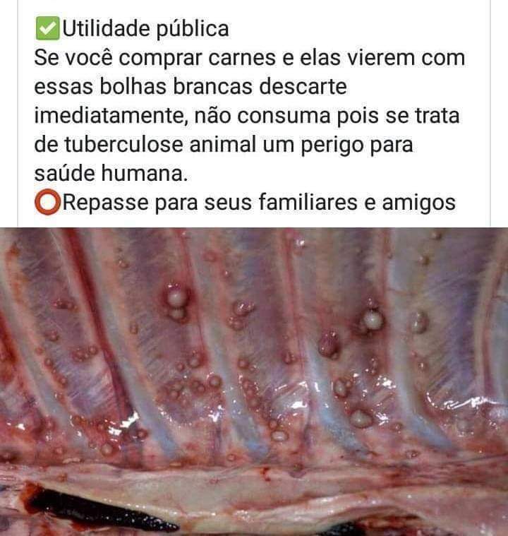 BRASIL: Carne vermelha contaminada com  tuberculose está sendo distribuída para consumidores?
